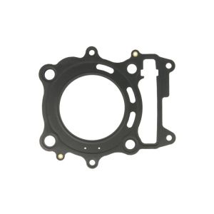 Joint de culasse ATHENA S410210001319