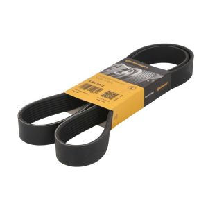 Cinto com várias nervuras em V CONTINENTAL 8PK1412