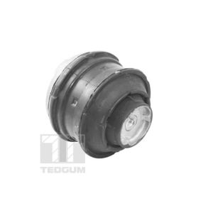 Carroçaria de borracha, suspensão do motor TEDGUM TED81021