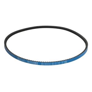Cinghia Poly-V CONTINENTAL XPA1132P-CON