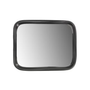 Rétroviseur extérieur RYWAL LP0220 E