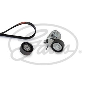 Set di cinghie Poly-V GATES K296PK1660