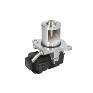 EGR-ventil WAHLER 710095D