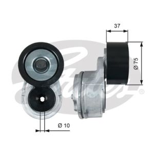 Tensor de correa, correa poli V GATES T38675