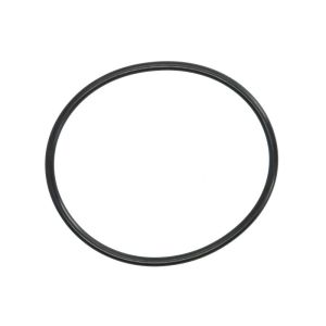 O-ring bomba de combustível PARSUN JASO-F404-31-068
