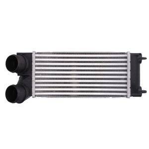 Intercooler THERMOTEC DAC013TT