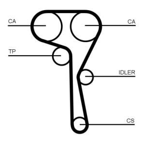 CONTITECH CT1167K8