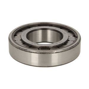 Molla sospensione SKF VKDL 31630