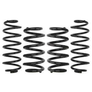 Kit de suspension, ressorts Pro-Kit EIBACH E10-15-018-02-22