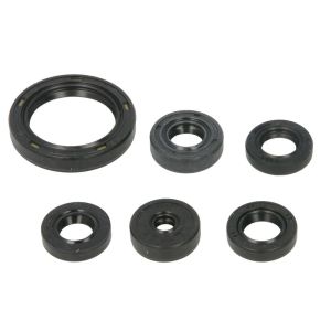 Kit de juntas do motor ATHENA P400250400068