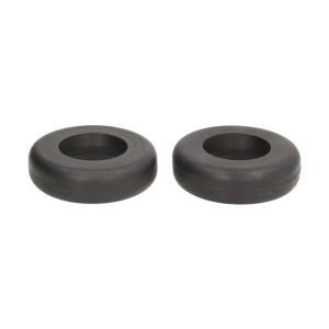 Element, Anhängerkupplung RINGFEDER RI07998309