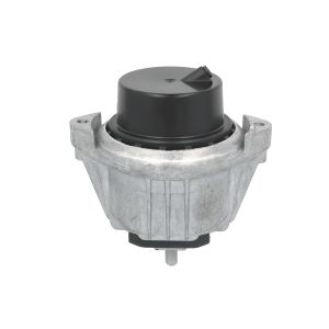 Suporte do motor REINHOCH RH11-3173