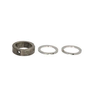 Componente, bomba de distribuição DELPHI 7189-100DE-12B1
