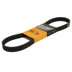 Cinto com várias nervuras em V CONTINENTAL 6PK868 ELAST