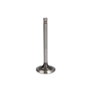 Einlassventil FP DIESEL 1007860-FP