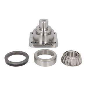 Pivot de fusée CARRARO 145714-CR