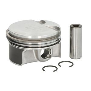 Piston NE 130050060300
