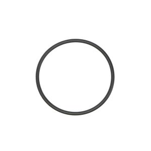 O-Ring, Getriebe ZF 0634313933ZF