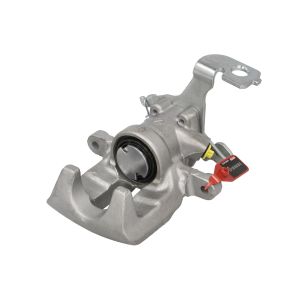Jarrusatula LAUBER 77.5354
