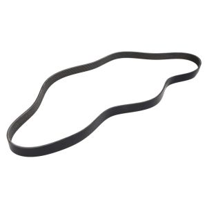 Correa poly V GATES 0285293-GAT
