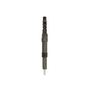 Einspritzdüse DELPHI R00501Z