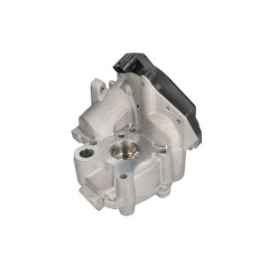 Válvula EGR DELPHI EG10538-12B1