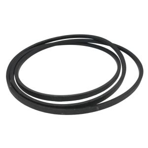 Correa poly V OPTIBELT 1000519AP
