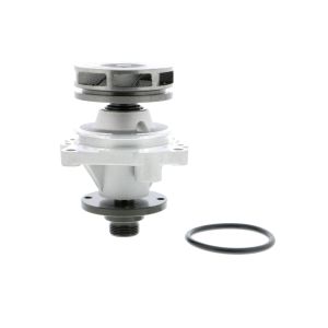 Vattenpump VAICO V20-50012