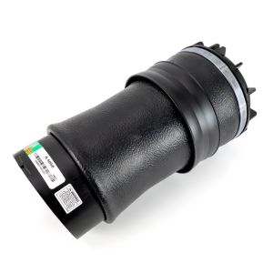 Mola de ar, suspensão ARNOTT EUROPE A-5656