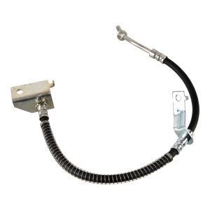 Bremsschlauch BLUE PRINT ADG053301