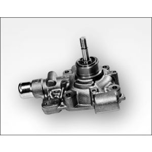 Pompe à eau HEPU P1186