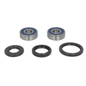 Radlagersatz ALL BALLS AB25-1310