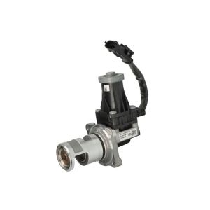 AGR-Ventil PIERBURG 7.04256.36.0