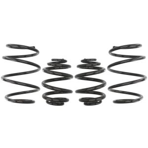 Mola de suspensão EIBACH Pro-Kit E10-20-001-03-22