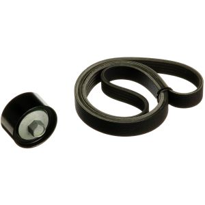 Set di cinghie Poly-V GATES K025PK1210