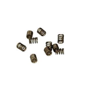 Resorte, inyector Common Rail DELPHI 9308-402B, 10 Pieza