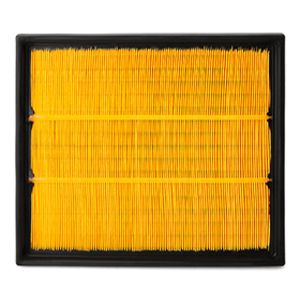 Filtro de ar FLEETGUARD AF25319