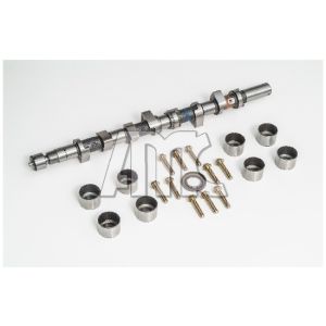 Conjunto da árvore de cames AMC 647197K