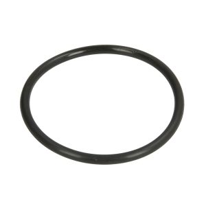 O-ring, anel de vedação DT Spare Parts 6.30069