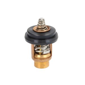 Termostato QUICKSILVER 804540