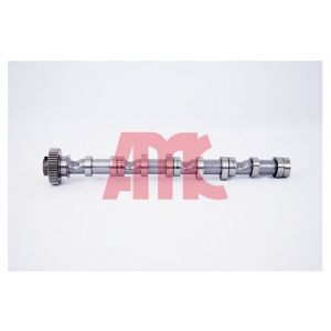 Conjunto da árvore de cames AMC 647290