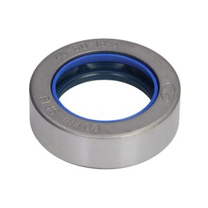 Element, Differential CARRARO 144105-CR