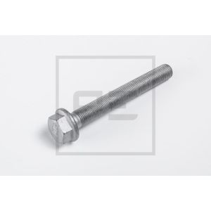 Tornillo PETERS 293.005-00A