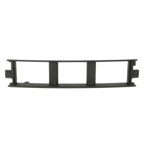 Grille de radiateur BLIC 6502-07-2593995P