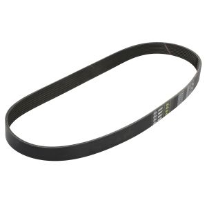 Cinghia Poly-V GATES 0285244-GAT
