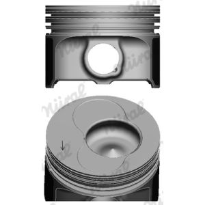 Pistão NÜRAL 87-139500-30