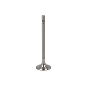 Einlassventil TRW 331133
