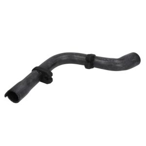 Durite de radiateur THERMOTEC DWP126TT