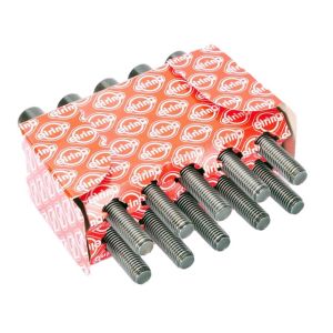 Cilinderkopbout set VICTOR ELRING 819.824
