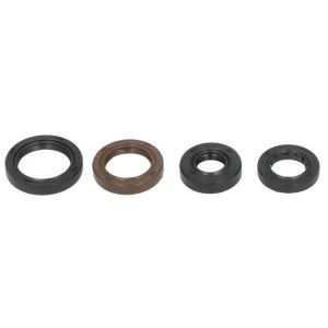 Kit de juntas do motor WINDEROSA W822340